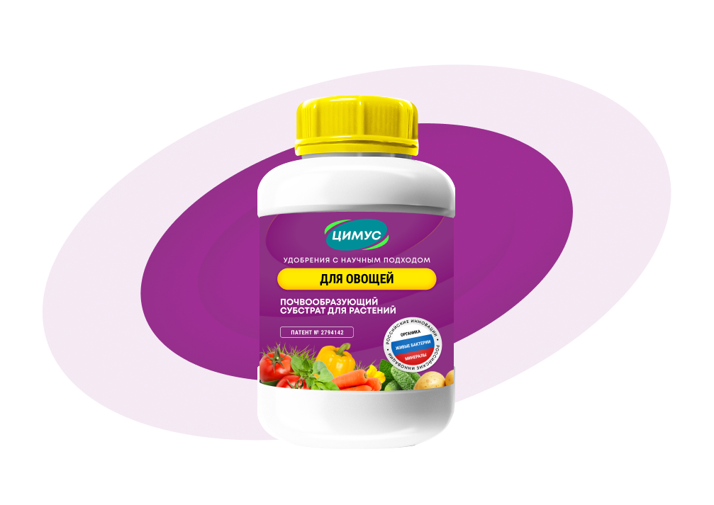 Полное Руководство по Выбору и Применению Удобрений для Вашего Овощного Рая