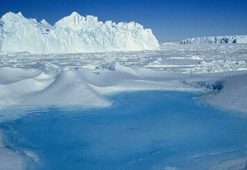 Зона арктических пустынь