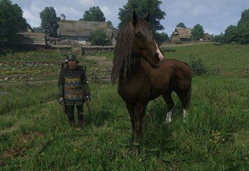 Kingdom Come Deliverance 2: как получить лошадь