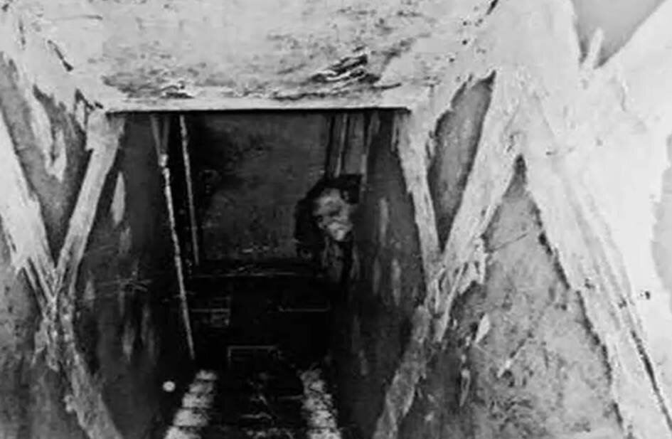 Исторические Факты, От Смешного до Ужасающего