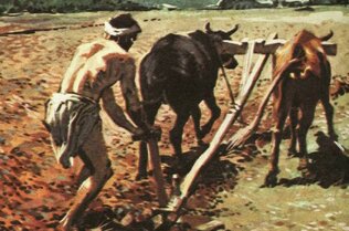 История Сельского Хозяйства, Как Люди Начали Выращивать Еду?