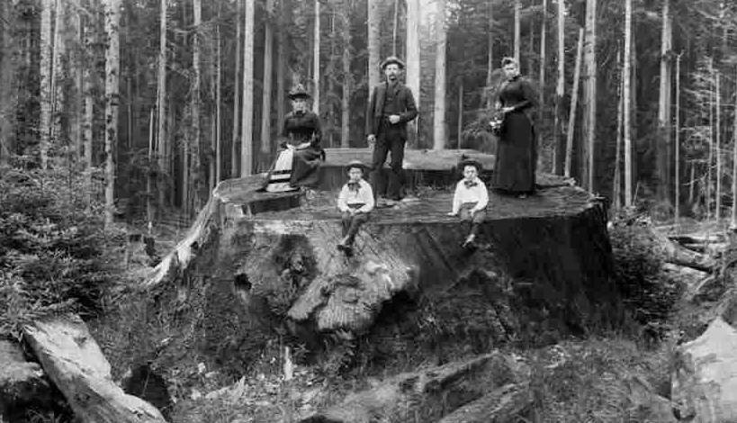 История в Лицах, Неизвестные Факты о Знаменитых Личностях