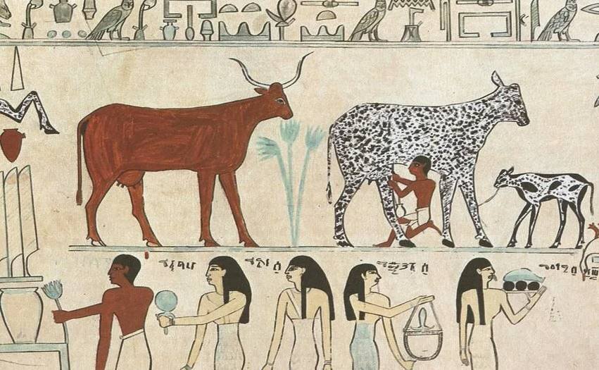 Животные в Истории, Их Роль и Значение