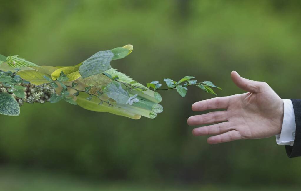 Экология и наука, как мы можем спасти планету?