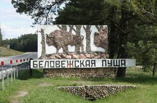 Беловежская Пуща, Поездка из Минска в Древний Лес