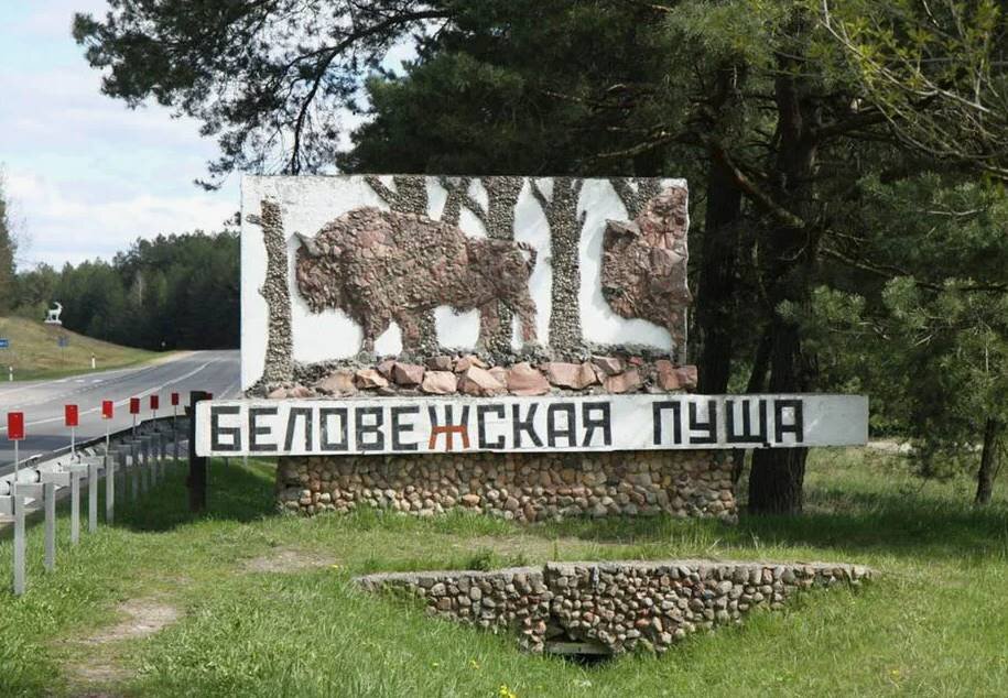 Беловежская Пуща, Поездка из Минска в Древний Лес