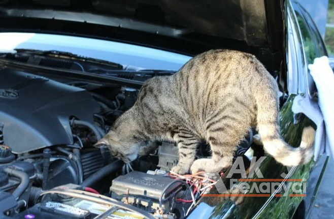 Непонятный ТехОсмотр… или хотели как лучше, а получилось как всегда