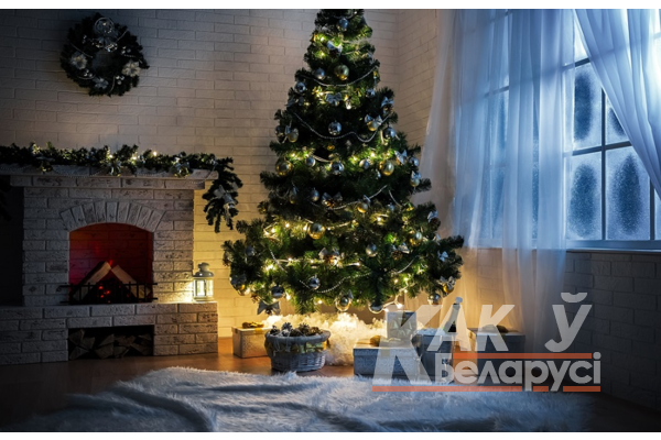 Выбор новогоднего дерева