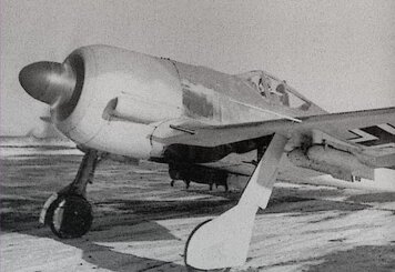 Сорокопут FW-190