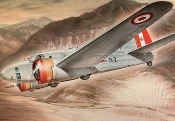 Многоцелевой итальянский самолет CA 310