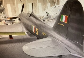 FIAT G-55