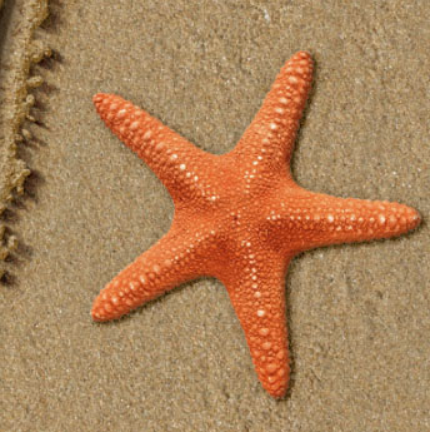 Надпись на песке