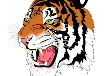 Adobe Illustrator и Macromedia Freehand