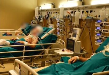 Более 4500000 больных COVID-19 по миру