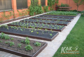 Как правильно сделать грядку для томатов