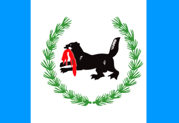Флаги в Иркутск