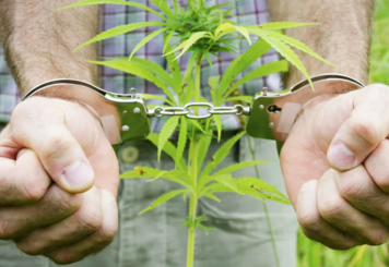 Мак - протокол и штраф