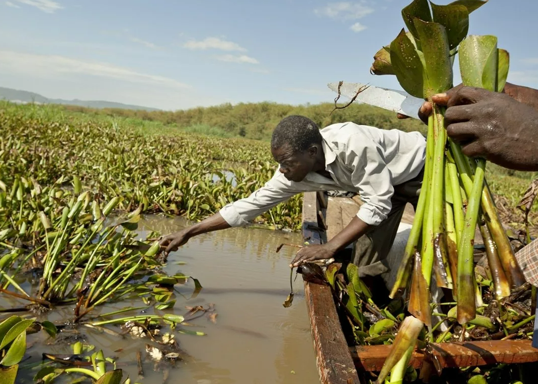 Экономика Беларуси: лучше Танзании, но ниже Уругвая