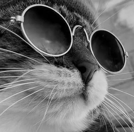 Кто и какие ставит аватарки? ✔