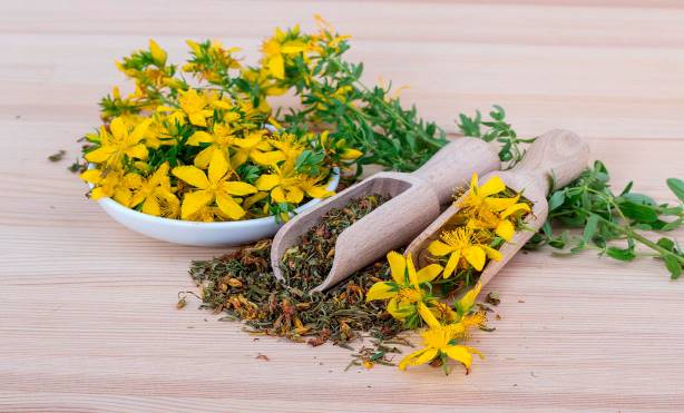 Лечебные травы