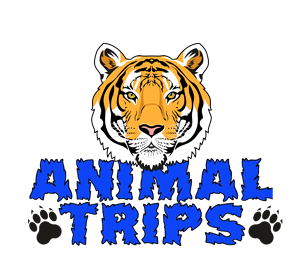 animaltrips