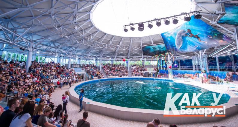 Дельфинарий Крым Евпатория